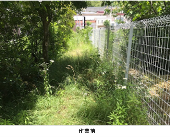 除草作業